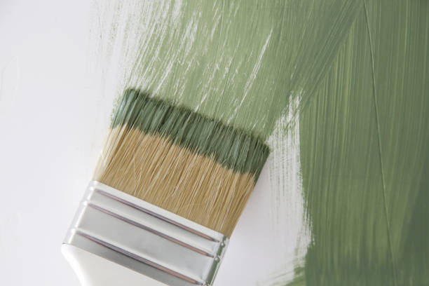 Mold Remediation for Rental Properties in Auburn, IL